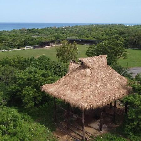 Palapa Hostel Transito Экстерьер фото