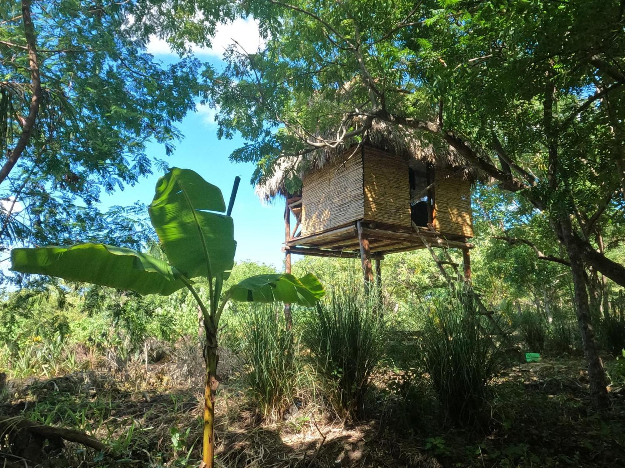 Palapa Hostel Transito Экстерьер фото
