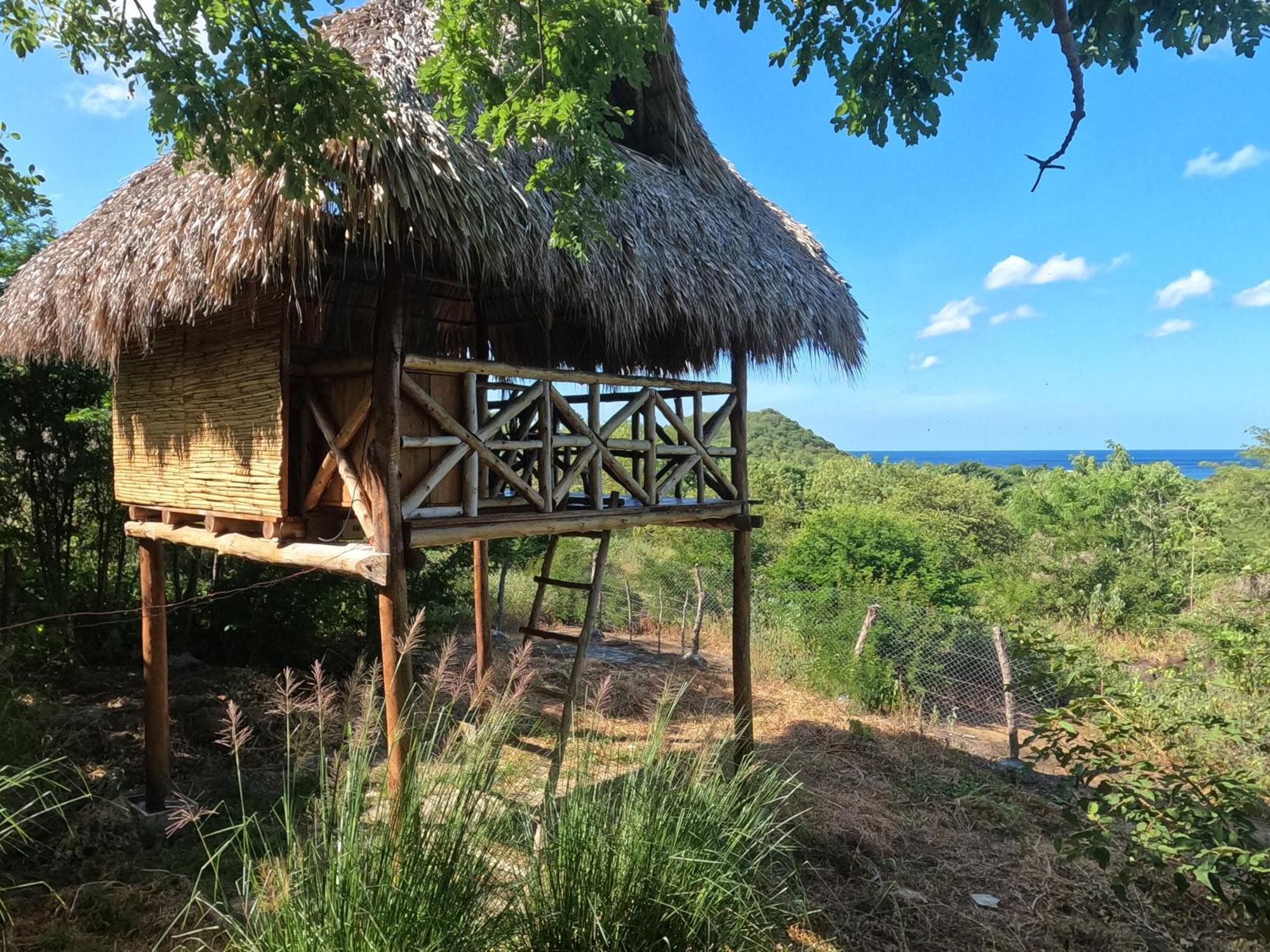 Palapa Hostel Transito Экстерьер фото