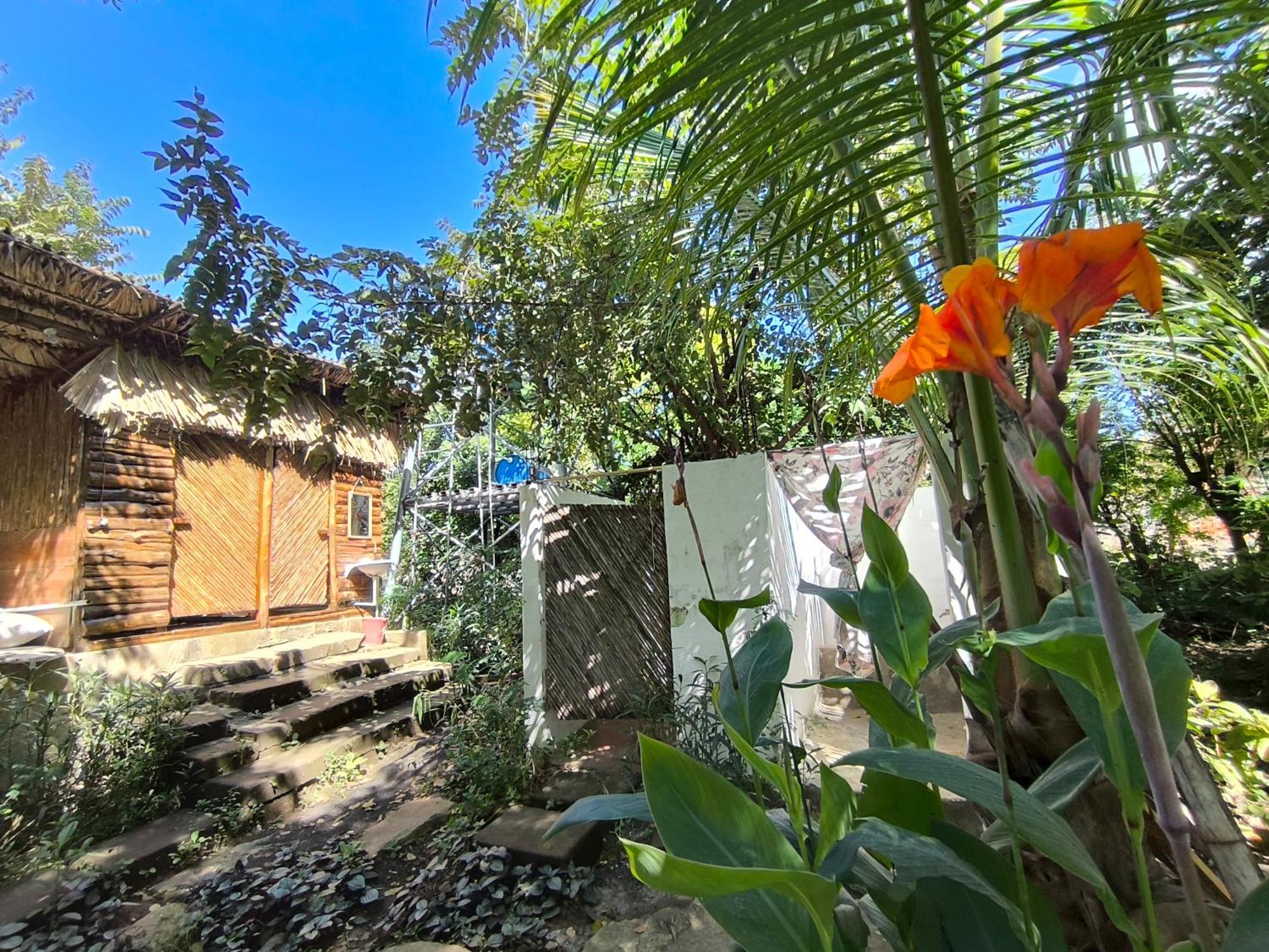 Palapa Hostel Transito Экстерьер фото