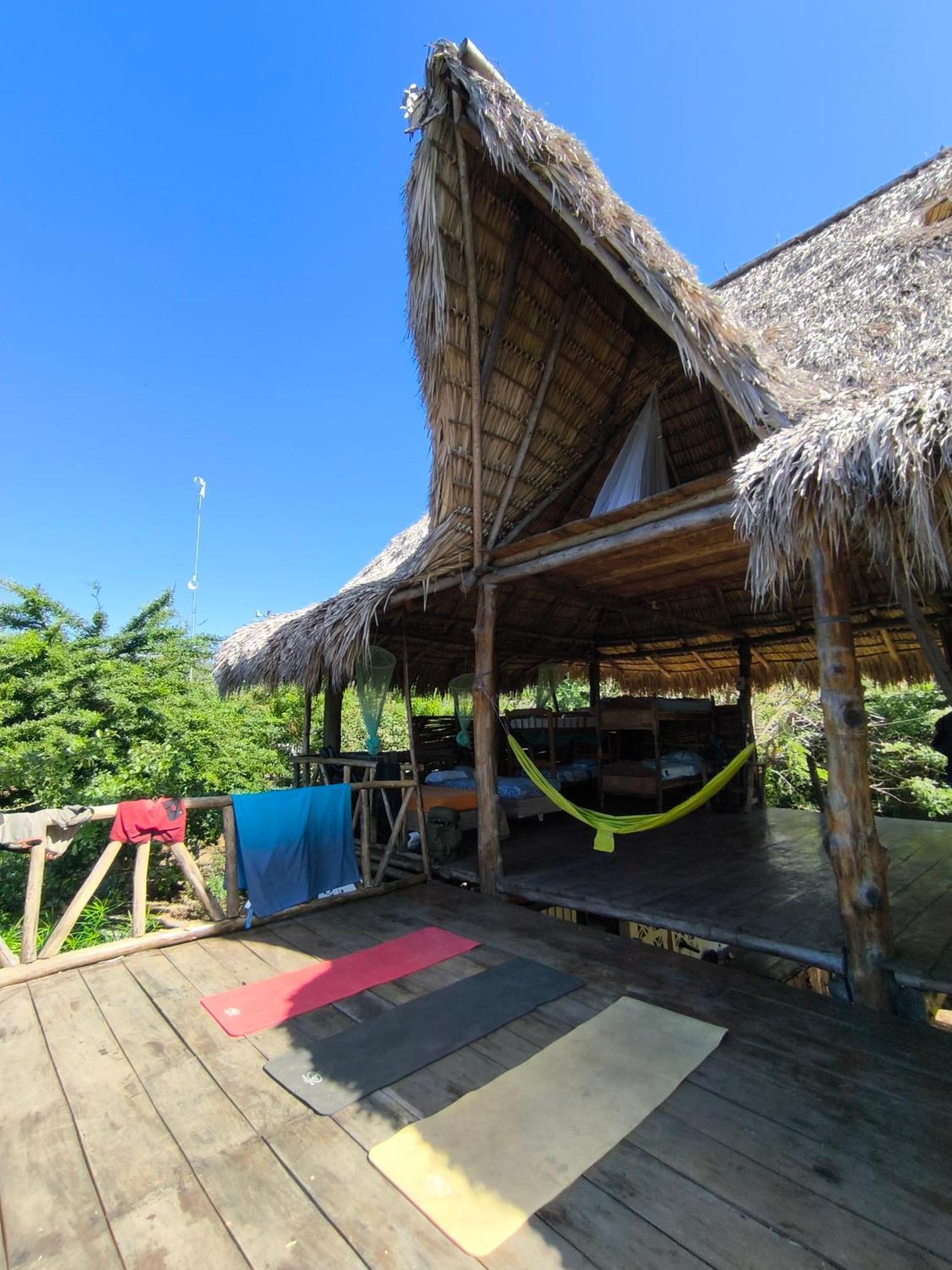 Palapa Hostel Transito Экстерьер фото