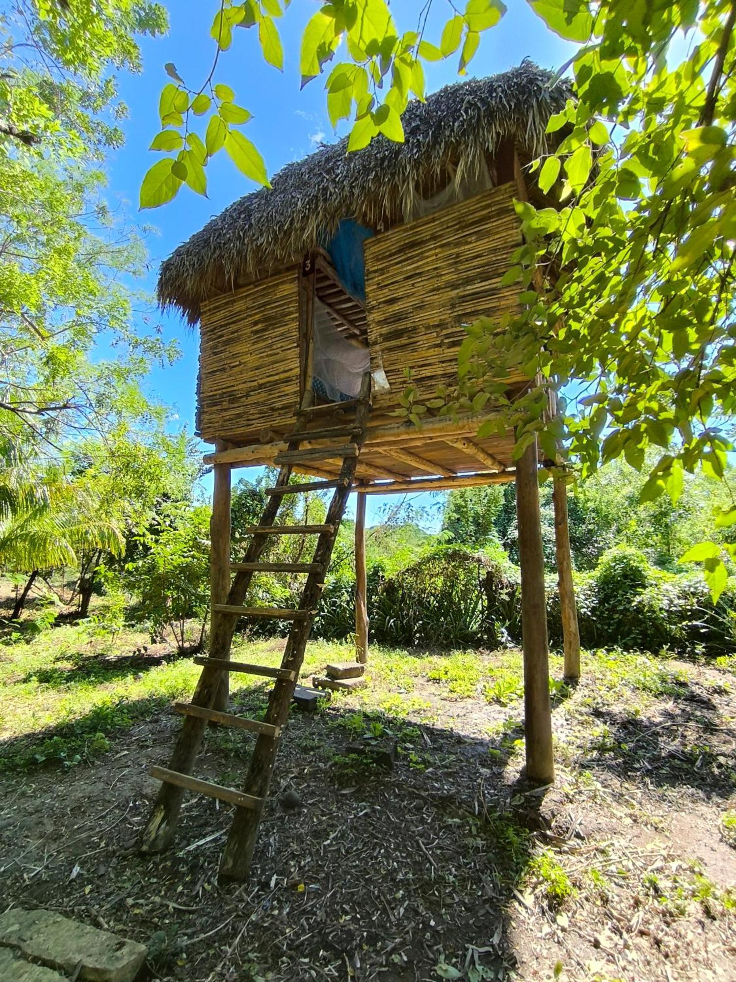 Palapa Hostel Transito Экстерьер фото
